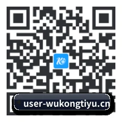 系统版 iOS 二维码